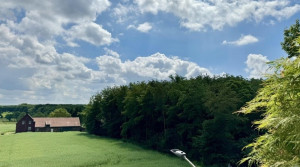 Ausblick Terrasse + Infrarotkabine